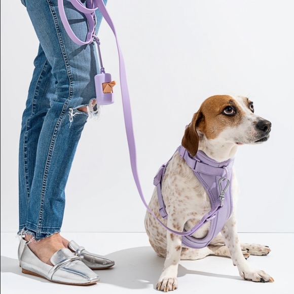 Wild One Dog Harness + All Weather Leash